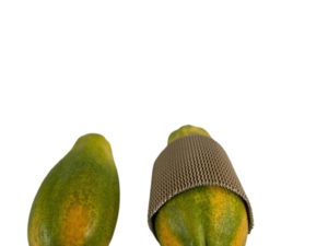 Malla de protección para papayas